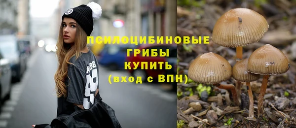 гашик Аркадак