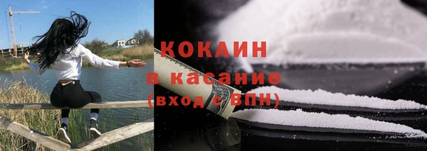 гашик Аркадак