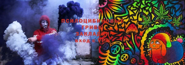 гидра Арсеньев