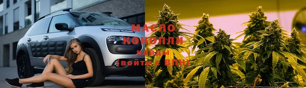 гашик Аркадак